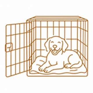 Crate Training