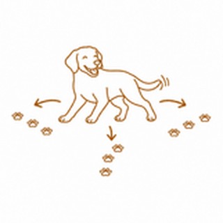 Directional Motion