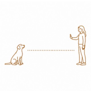 Distance & Independence