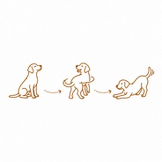 Sequences